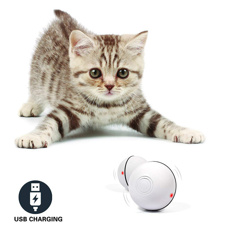 Interaktiver LED-Spielball für Katzen – Elektronisch & Selbstrollend