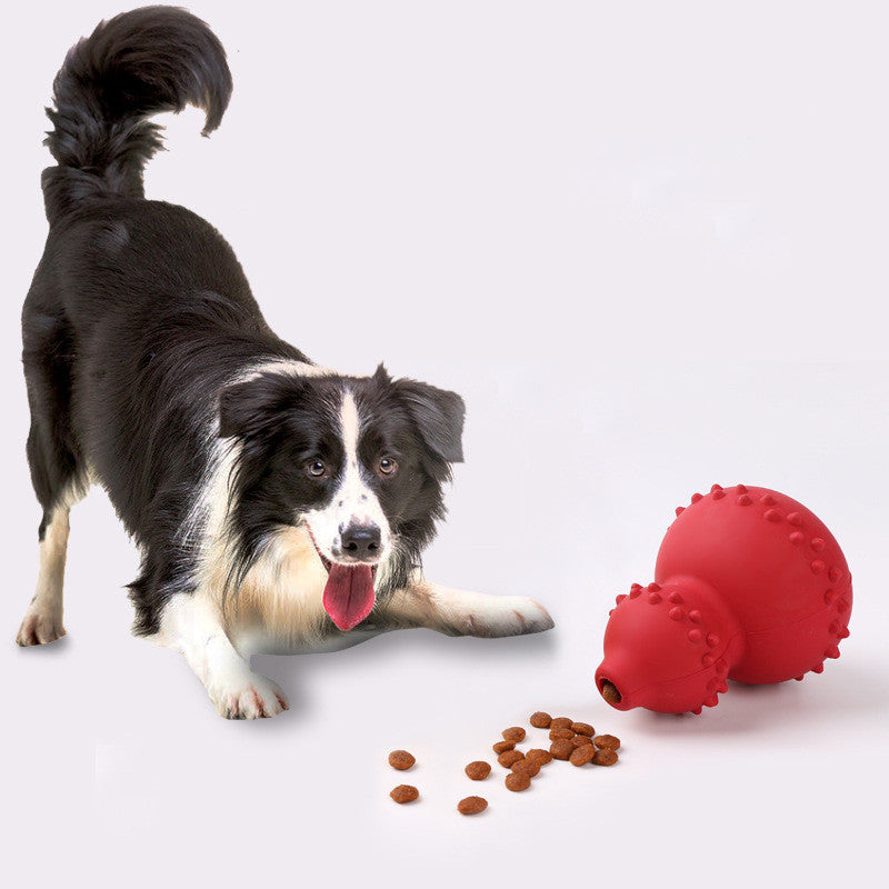 Beißfestes Hundespielzeug aus Naturkautschuk – Sicher, Zahnschonend & Robust